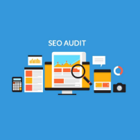 Free SEO Site Audit